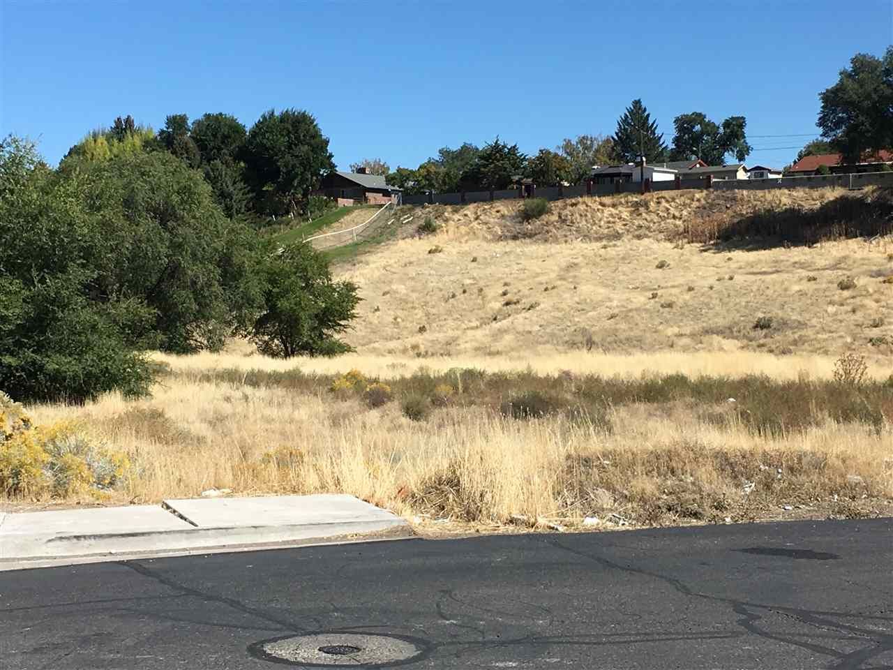 TBD W. Sage Street: TBD W. Sage Street, Elko, NV 89801